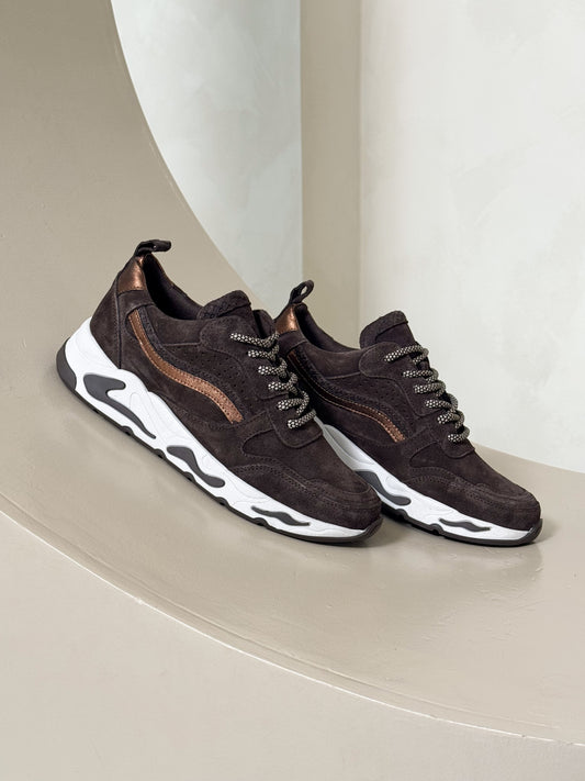 Sneaker Oslo II | Brown/Bronze